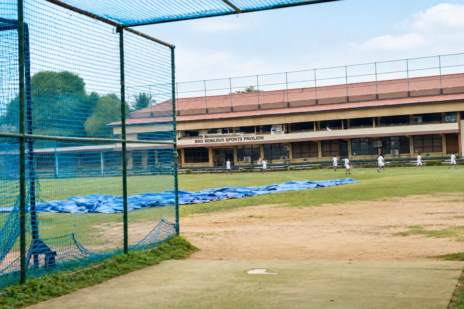 Cricket Nets - Double